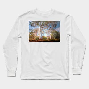 Mighty Ghost Gums - The Cedars, Hahndorf, The Adelaide Hills, SA Long Sleeve T-Shirt